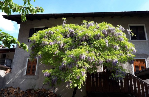 Rovere della Luna Apartment | Vacation home in the heart of Trentino-Alto Adige