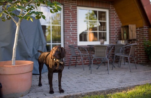 Zetel House | Vacation home Adam (completely renovated)