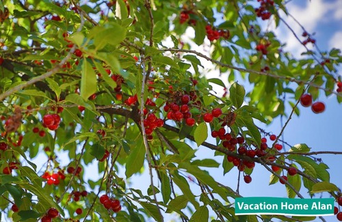 Kulen Vakuf House | Vacation home Alan 2