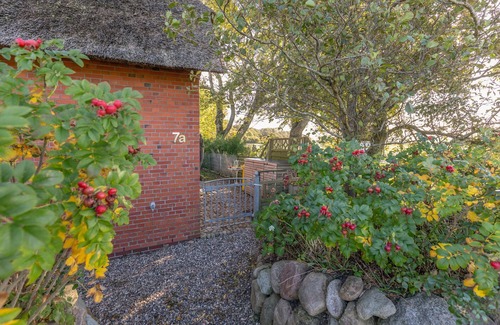 Rosenkranz House | Vacation home Andrea in Aventoft for up to 4 people