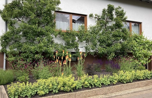 Tholey House | Vacation home at the Johann-Adams-Mühle