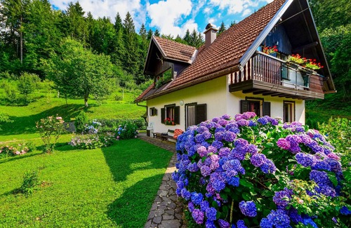 Brod na Kupi House | Vacation home Božica by Interhome