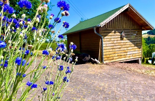 Hallschlag House | Vacation home Caroline