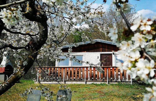 Harztor House | Vacation home Chiara in Ilfeld, idyllic directly in the countryside!