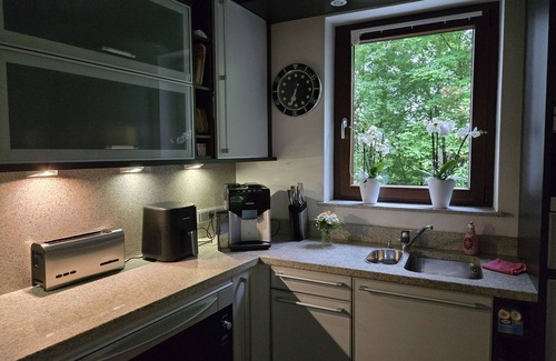Frankenberg House | Vacation home for 10 guests with 300m² in Frankenberg (Eder) (271738)