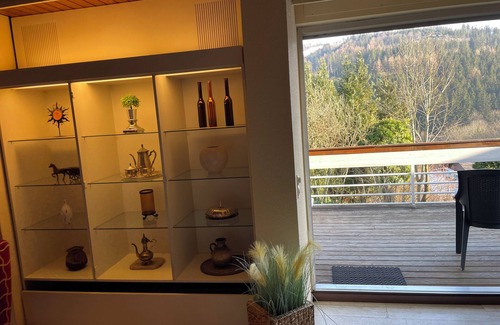 Willingen House | Vacation home with sauna, whirlpool and infrared light sauna in Willingen Sauerland