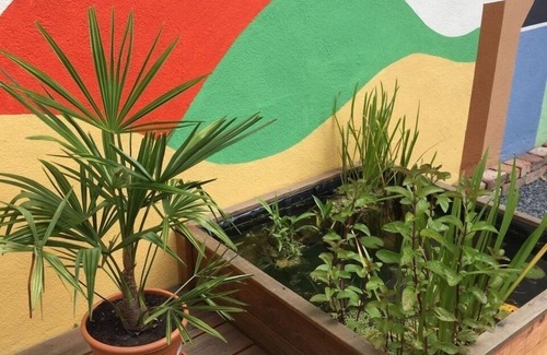 Rachtig House | Vacation home for 3 guests with 50m² in Zeltingen-Rachtig (297834)