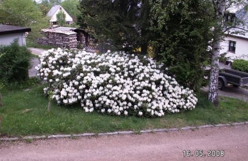 Altenberg House | Vacation home "Ferien am Waldrand" - Cozy vacation apartment 70sqm at the edge of the forest