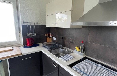 Laupheim House | Vacation home for 12 guests with 120m² in Laupheim (296478)