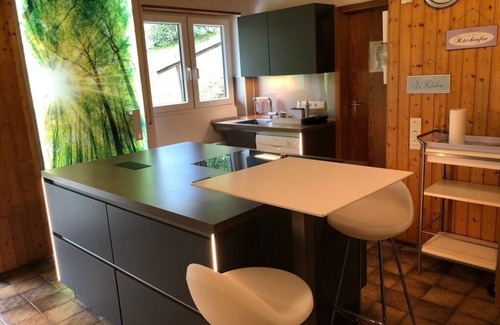 Ortsmitte House | Vacation home for 16 guests with 160m² in Willingen (145149)