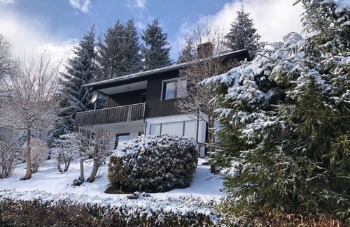 Ortsmitte House | Vacation home for 16 guests with 160m² in Willingen (145149)