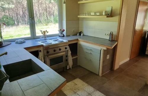Repke House | Vacation home for 4 guests with 80m² in Dedelstorf (268877)