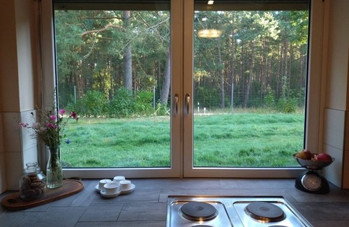Repke House | Vacation home for 4 guests with 80m² in Dedelstorf (268877)
