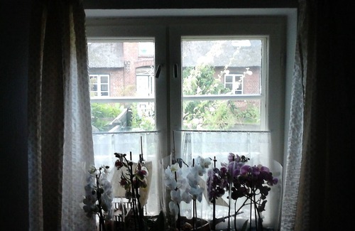 Dagebuell House | Vacation home for 4 guests with 75m² in Dagebüll (184643)