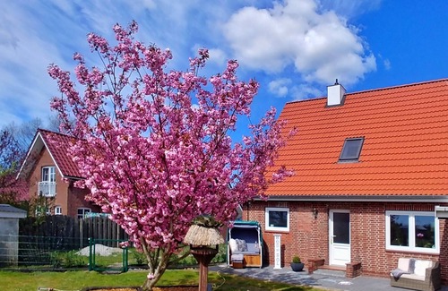 Uphusum House | Vacation home for 5 guests with 100m² in Uphusum (144235)