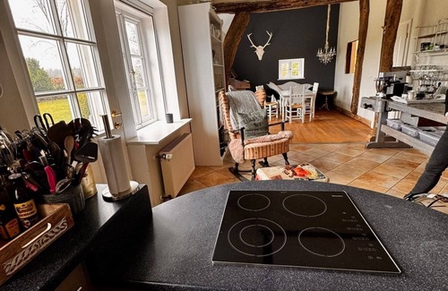 Badbergen House | Vacation home for 6 guests with 250m² in Badbergen (297100)