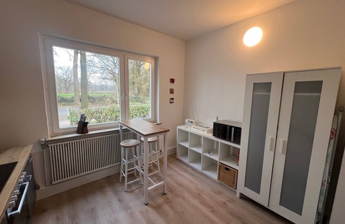 Etzhorn House | Vacation home for 7 guests with 160m² in Oldenburg (273622)