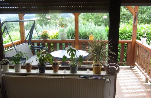 Veckerhagen House | Vacation home in the Weserbergland "Die Alm"