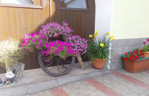 Brez Apartment | VACATION HOME IRIS RELAX IN TOUCH WITH NATURE