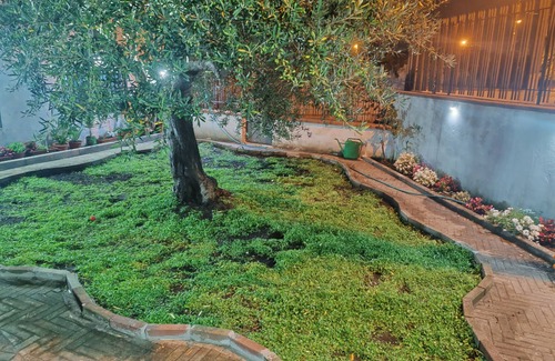 Mount Vesuvius - Pompei House | Vacation Home For Families Torre Annunziata Scavi Oplontis, Pompeia, Naples