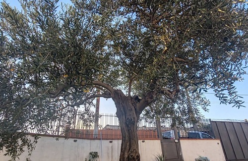 Mount Vesuvius - Pompei House | Vacation Home For Families Torre Annunziata Scavi Oplontis, Pompeia, Naples