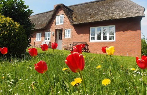 Fedderswarf House | Vacation home Ockholm on the small Gaarde - Holiday home Ockholm