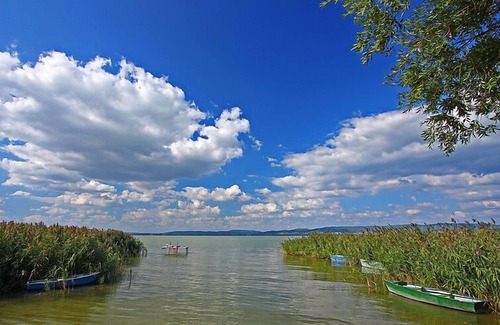 Balatonbereny House | Vacation home Ruby 1 by Interhome