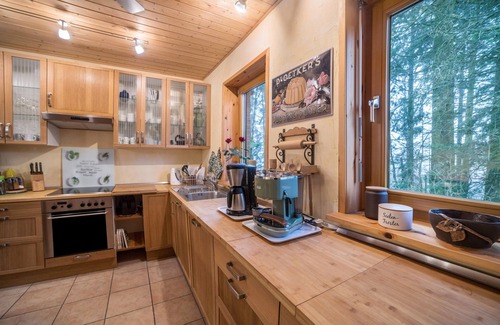 Hohegeiß House | Vacation Home "Sonne Harz Und Sterne" near Slopes with 2 Private Terraces & Wi-Fi