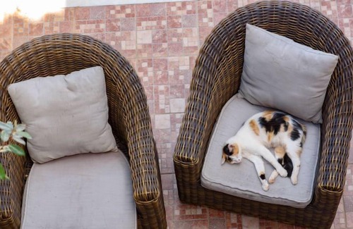Agios Nikolaos House | Vacation home St. Nicolas View in Agios Nikolaos, Crete - 4 persons, 2 bedrooms