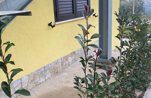 Apice Apartment | Vacation home Ulivo