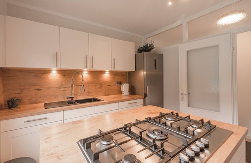 Wildemann House | Vacation Home 'Villa Hoheneck' with Private Terrace & Wi-Fi