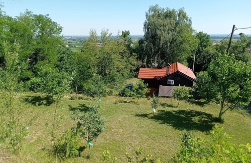 Novigrad Podravski House | Vacation home with pool and sauna for families seeking peace and quiet. Pet friendly!