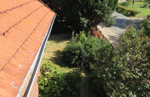 Lauenhagen Apartment | Vacation near the Steinhuder Meer!