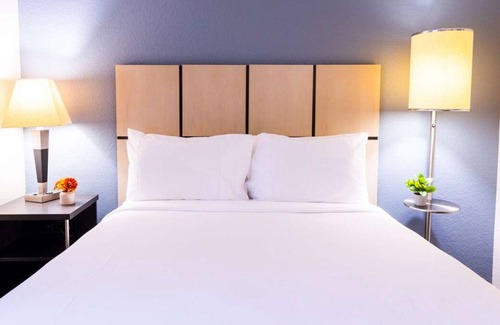 Clearwater House | Vacation Time! Close to Airport, Full Kitchen, Pet-friendly and Outdoor Pool!