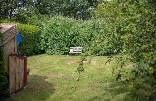 Puttgarden Apartment | Vacations in Fehmarn: Relax and experience in the Apfelblüte vacation apartment