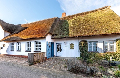 Oevenum Apartment | "Vacations in the Tide House: relaxation and adventure on the North Sea!"