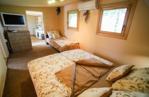 Aggtelek Apartment | Vad-lak Vendégház