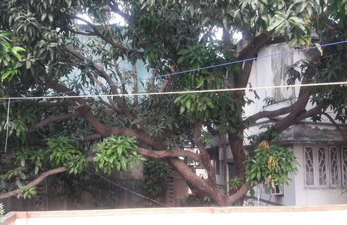Ballygunge Apartment | Vagabong Diaries Little Boho Home