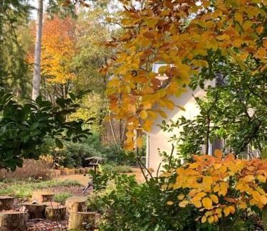 Epe Villa | Vakantiehuis Bos en Hei Veluwe