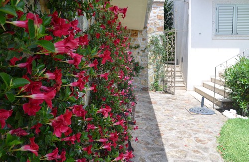 Santa Maria da Feira House | Valadas Guest House - 4 Bedroom Villa with Pool
