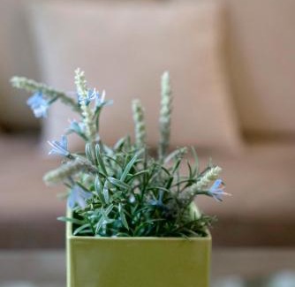 Agia Paraskevi Apartment | Valashouse