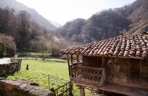 Vigidel Apartment | Valdecarzana Apartments. Braña El Tronco Senda del Oso, 3 km from San Martin.