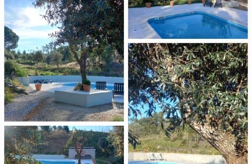 Macao House | Vale de Garcia AL 5357
