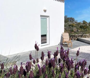 Marvao House | Vale Penedo
