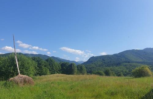 Nucsoara House | Valea Doamnei