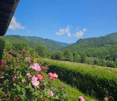 Nucsoara House | Valea Doamnei
