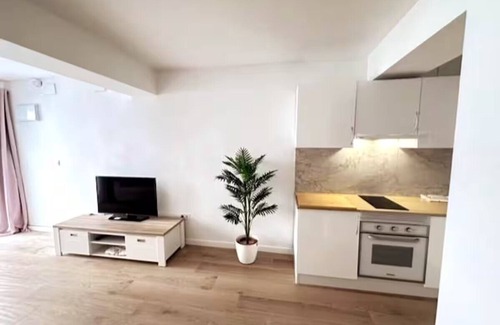 Mestalla Apartment | Valencia Rooms & Apartments (A)