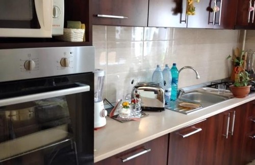 Tirgu Mures Apartment | Valentina s Place