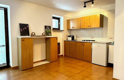 Chez Carral Apartment | Valgrisa 1 - Alpine adventure