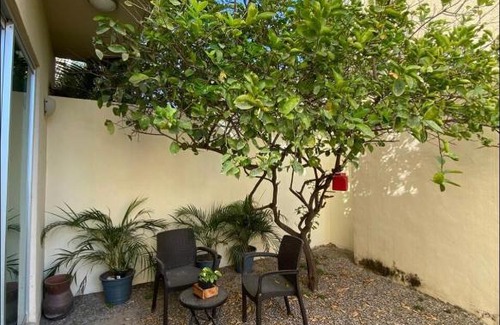 Palmar de Aramara Apartment | VALLARTA BONITO